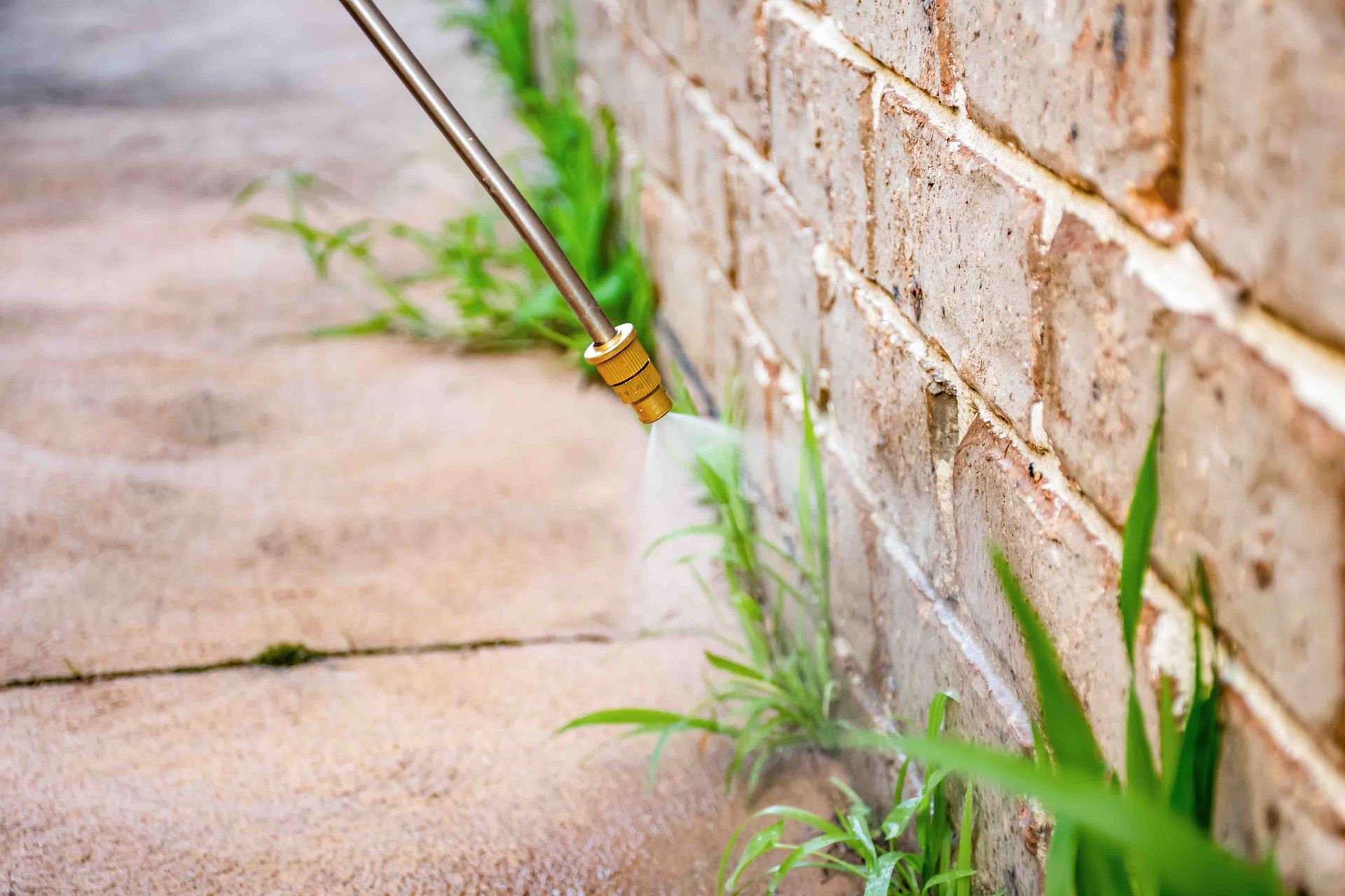 A person is spraying weeds on a brick wall with a sprayer.