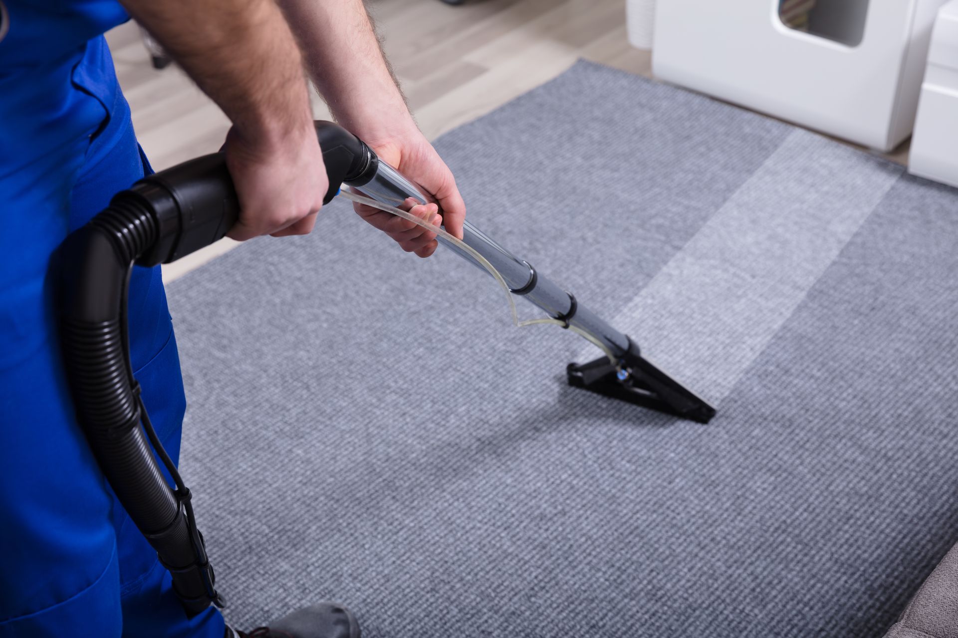Expert carpet washing process using vacuum cleaner to restore carpet cleanliness and freshness.