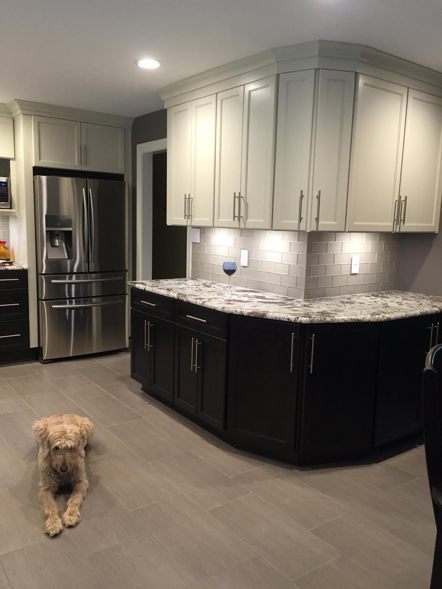 A dog is laying on the floor in a kitchen