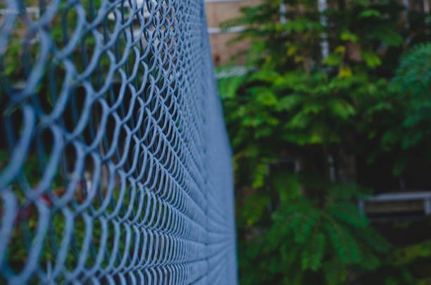 A close up of a chain link fence with trees in the background.
