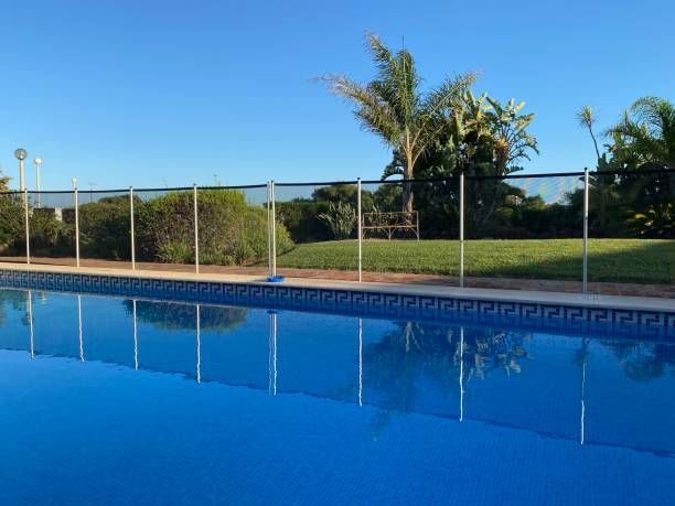 A large swimming pool with a fence around it and palm trees in the background.