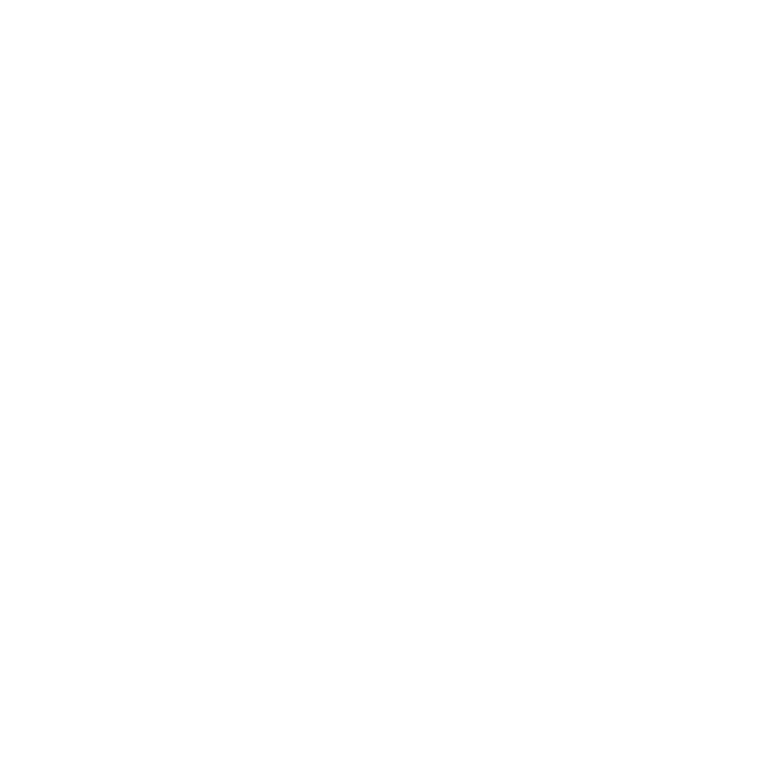 platinum photo booth rental logo