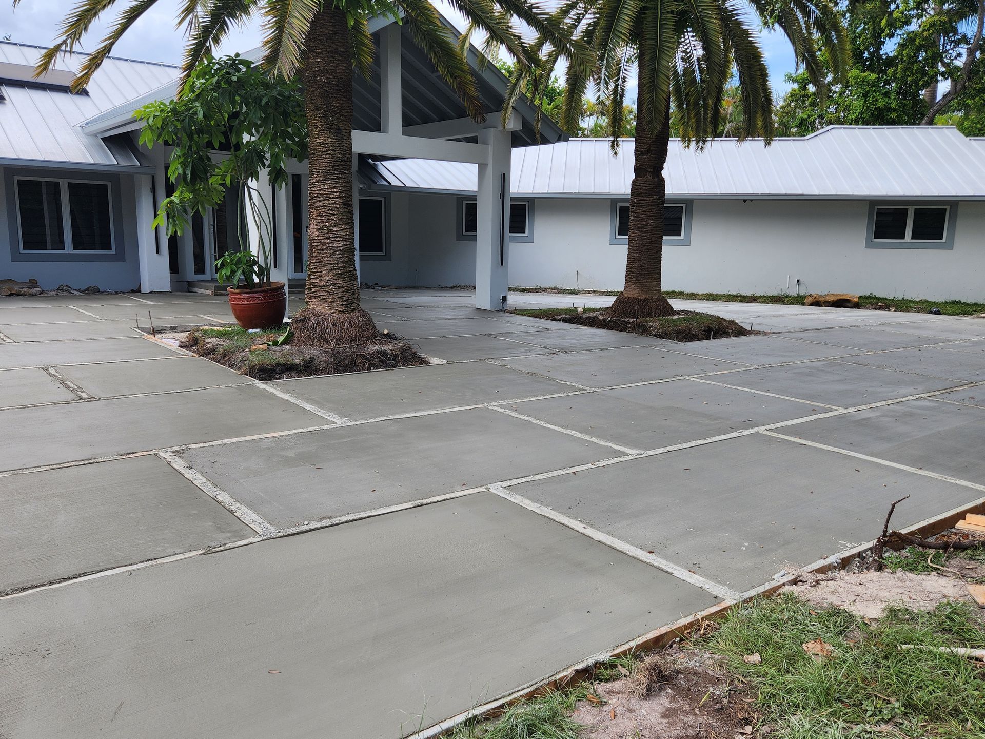 A concrete driveway in front of a house with palm trees