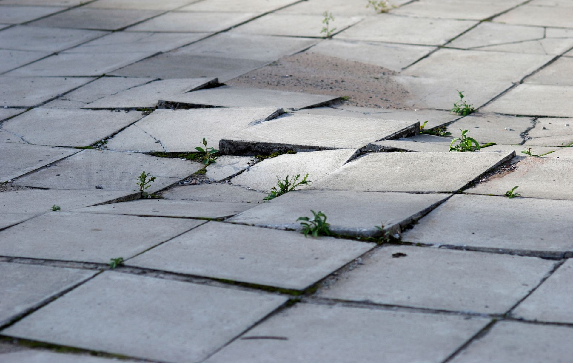 A broken tile floor with grass growing out of it.