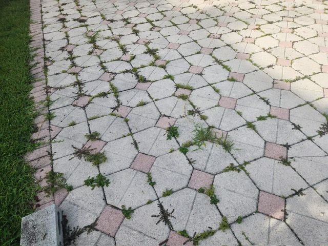 A brick walkway with weeds growing out of it