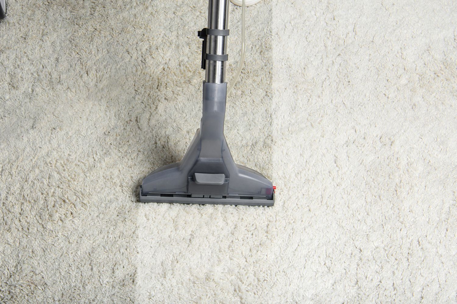 Residential Carpet Cleaning  | Anchorage, AK | HENRY’S JANITORIAL SERVICES