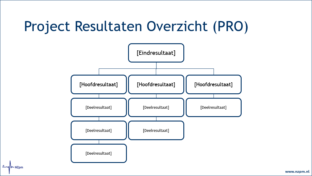 Diagram met een overzicht van de projectresultaten, weergegeven met vakjes in het Nederlands.