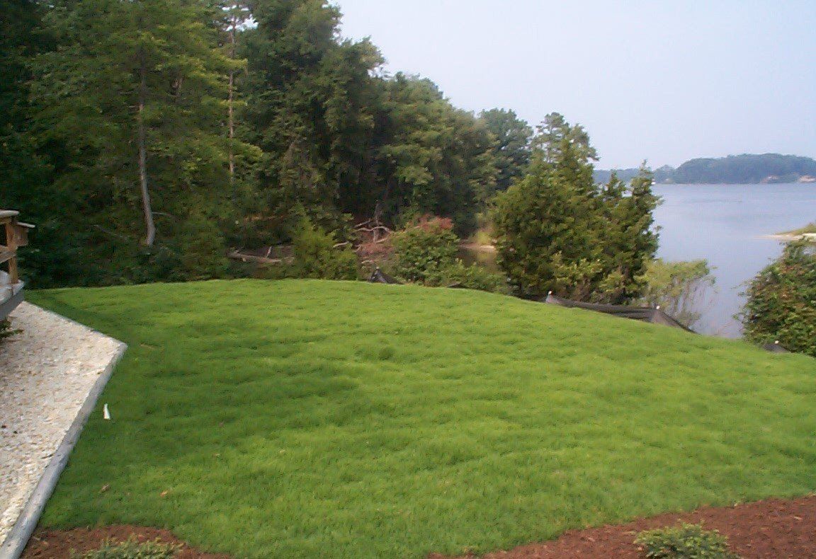Deck Remodeling — Wide Grass Field in Shacklefords, VA