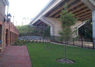 Lawn — Field With Grass And Small Tree in Shacklefords, VA