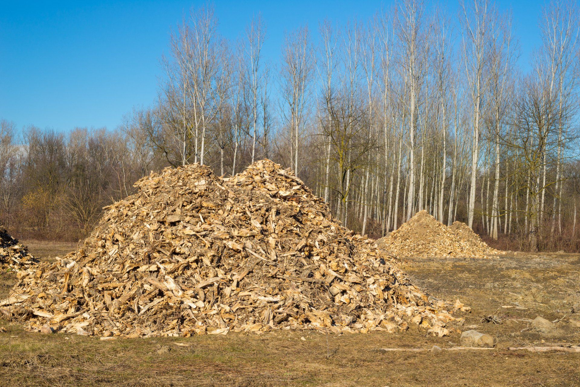 Wood Chips From Land Clearing — Peculiar, MO — Timberwolf Mulching LLC