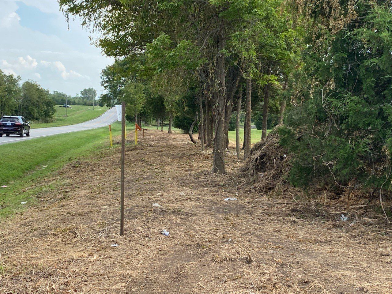 Before And After Tree Cut — Peculiar, MO — Timberwolf Mulching LLC