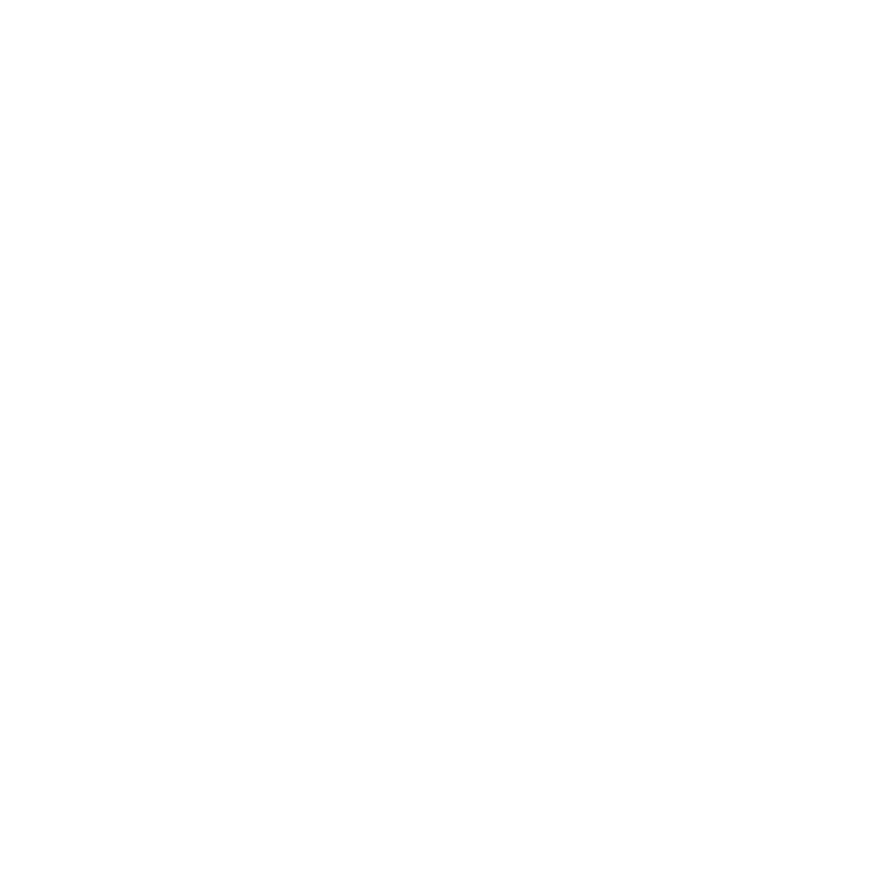 White Shadow | Bama Direct Automotive Llc