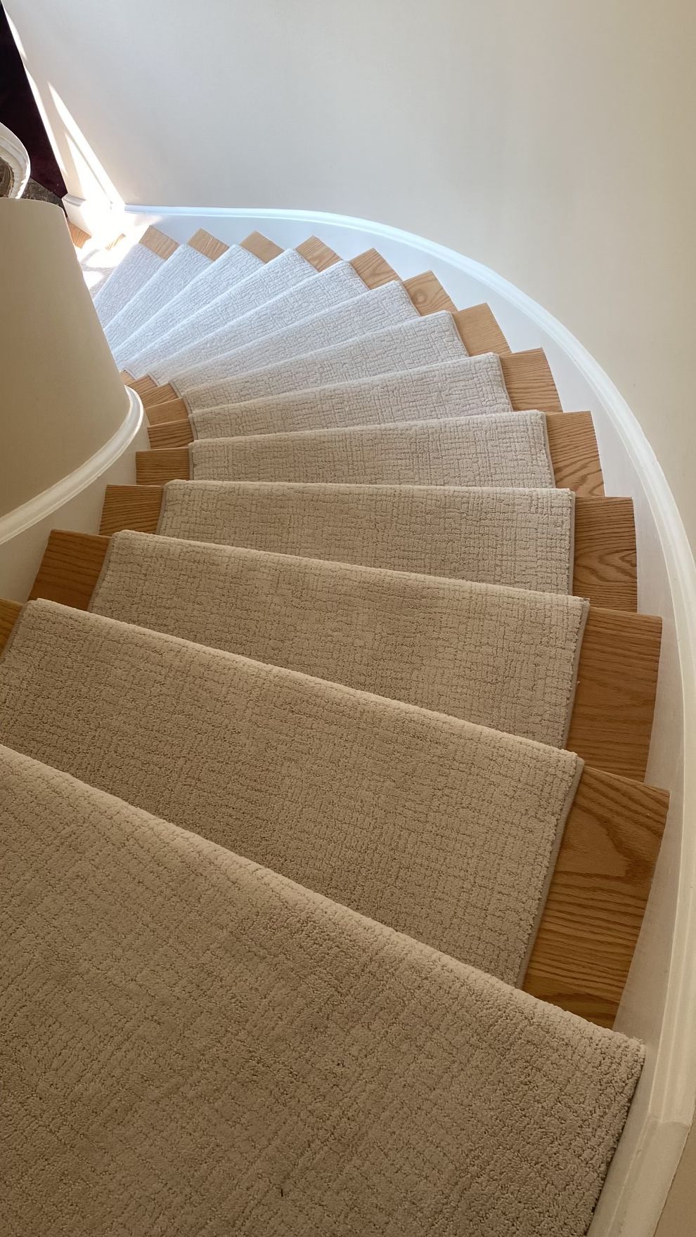 Curved carpeted staircase with beige steps and wooden edges in a bright interior hallway