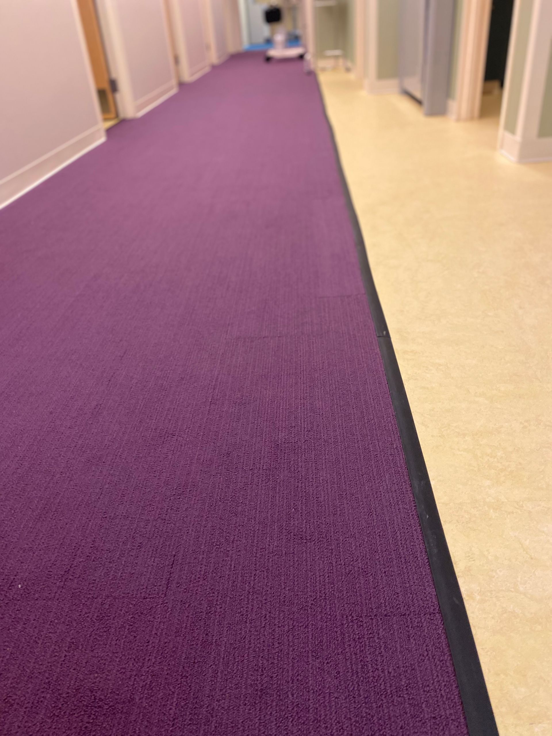 Purple carpeted hallway with cream flooring and doorways on both sides