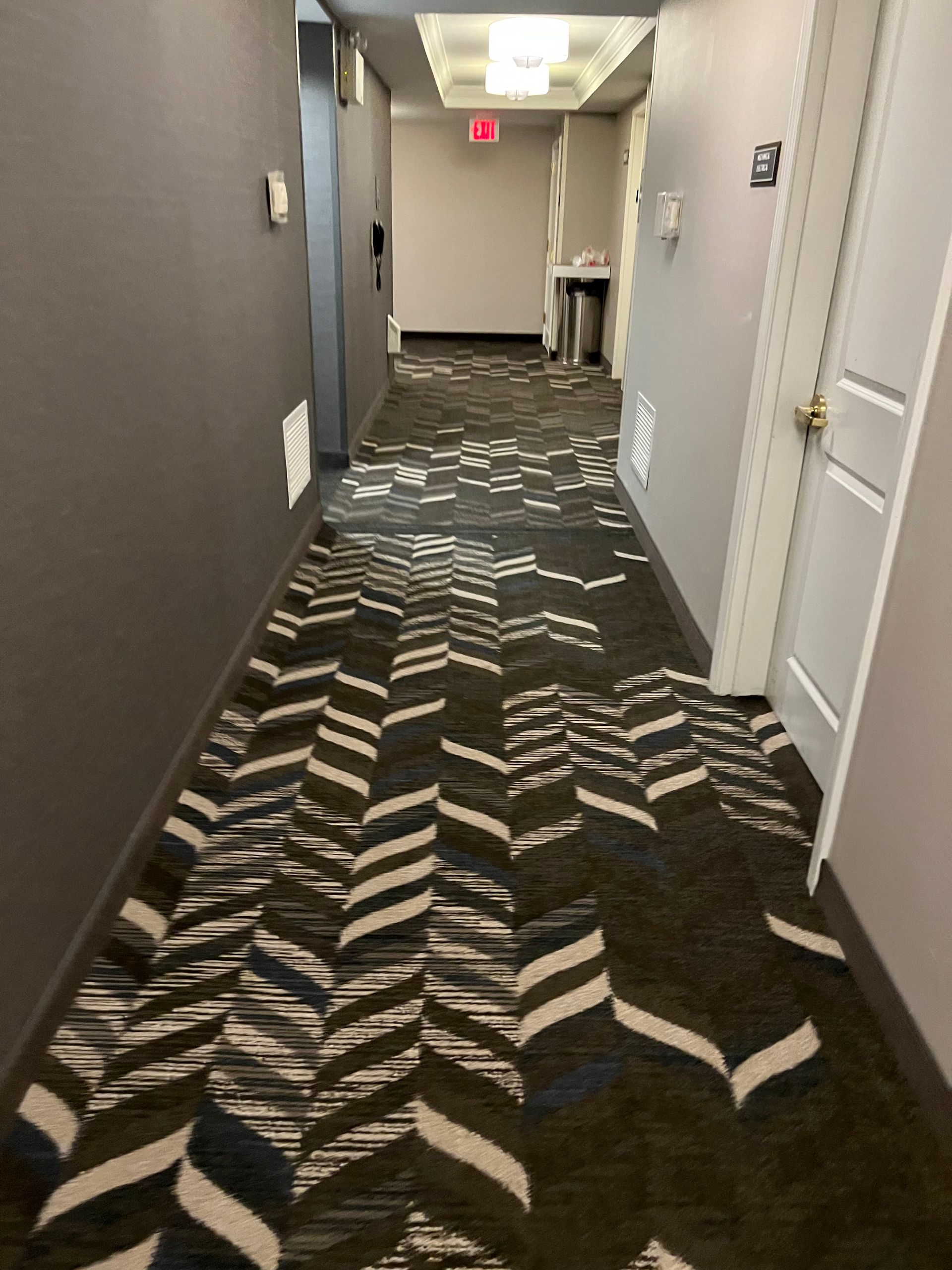 Hotel hallway with patterned carpet, gray walls, white doors, and red exit sign at the end.