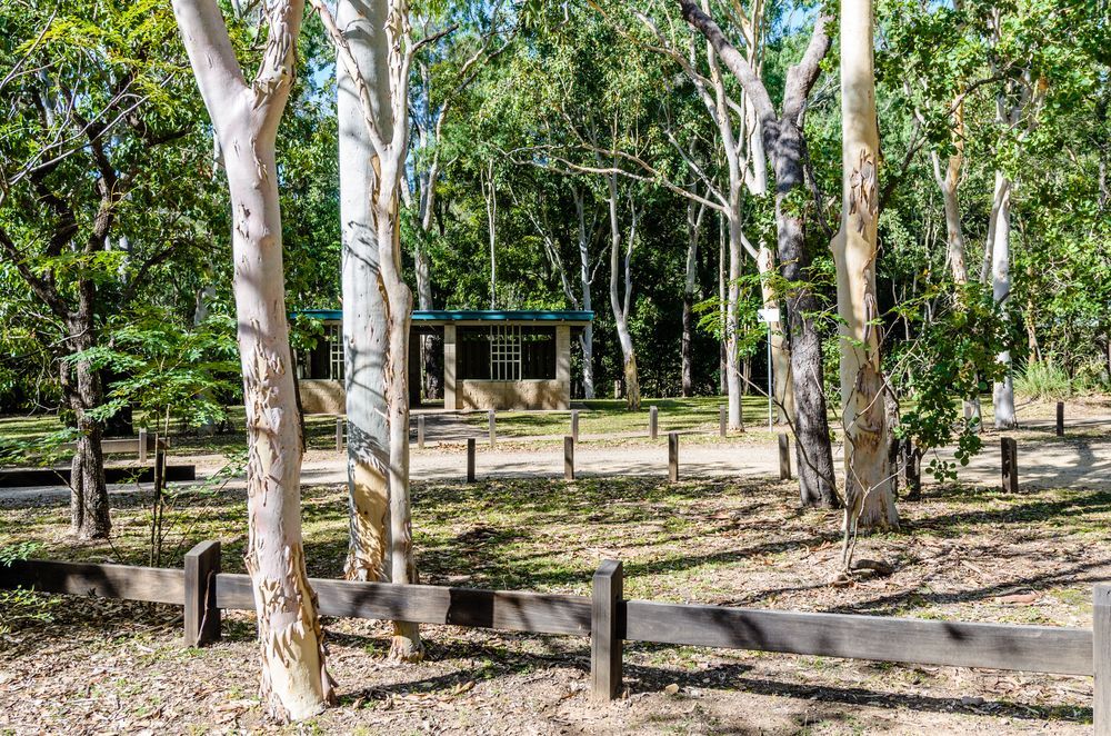 Camping Area With Light-colored Trees, a Small Building, and a Wooden Fence — Shona's Lingerie in Rasmussen, QLD
