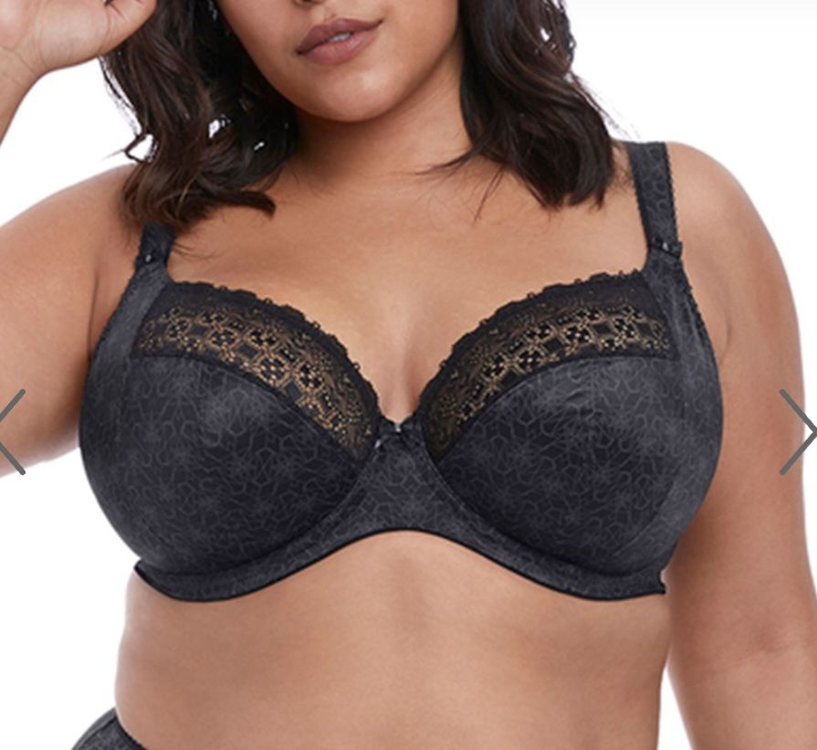 Elomi Kim Plunge Bra — Shona's Lingerie in Hermit Park, QLD