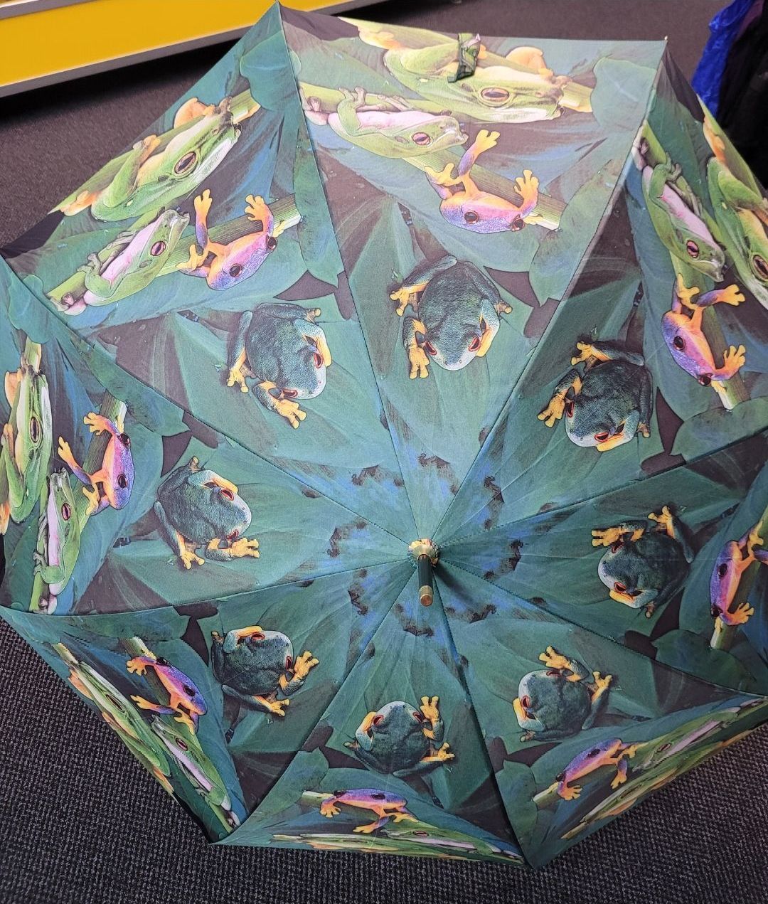 Shelta 1855 Automatic Umbrella — Shona's Lingerie in Hermit Park, QLD