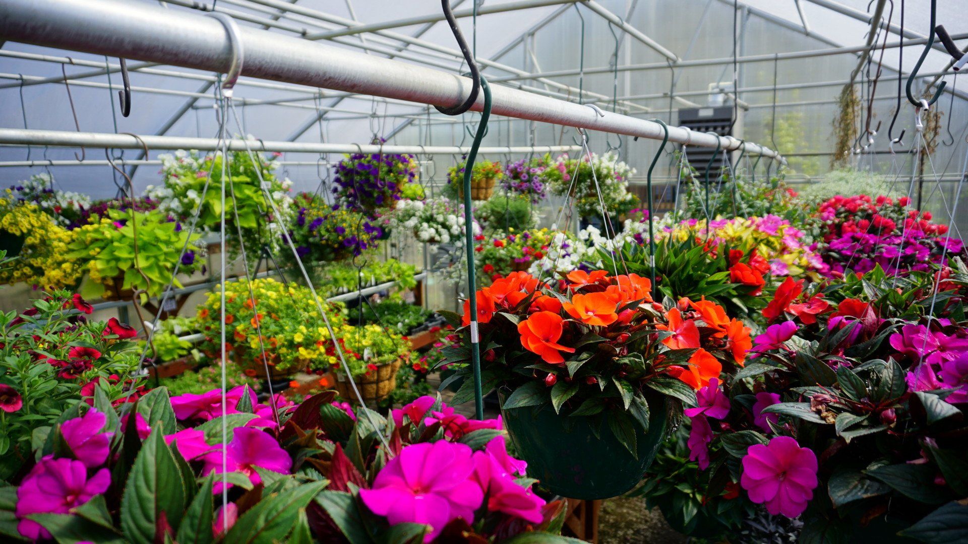 Spokane WA Smart Gardens Nursery Greenhouse