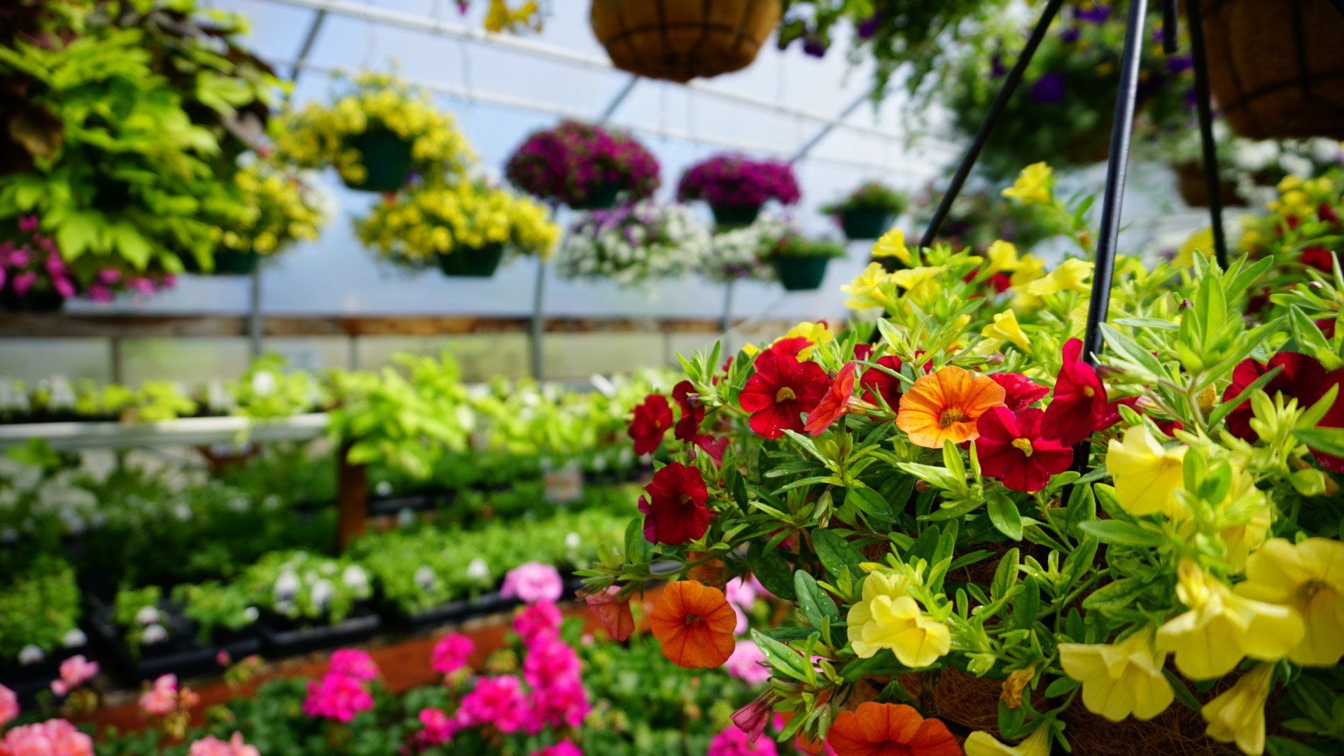 Spokane WA Smart Gardens Nursery Greenhouse