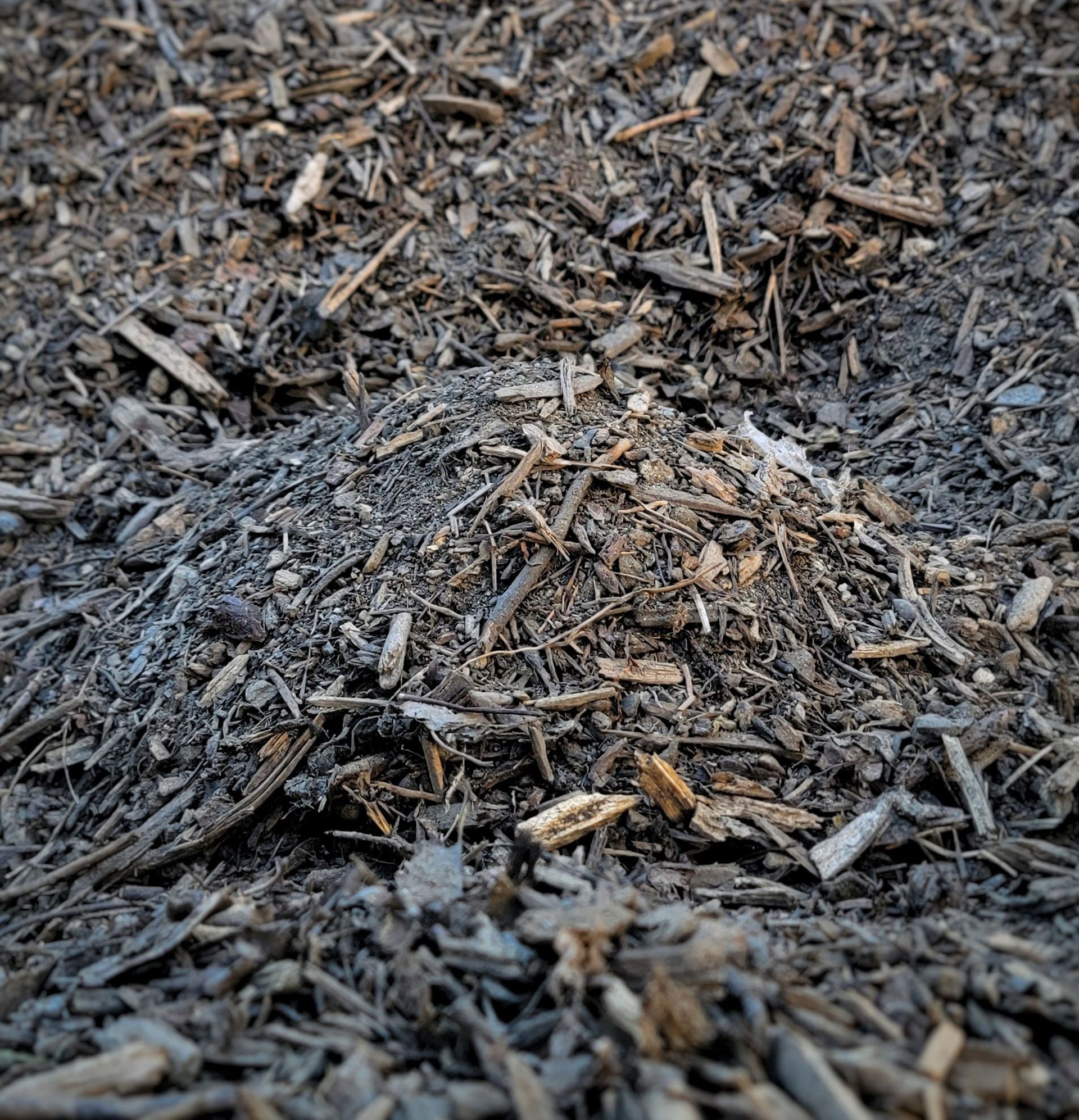 Garden Bark Mulch