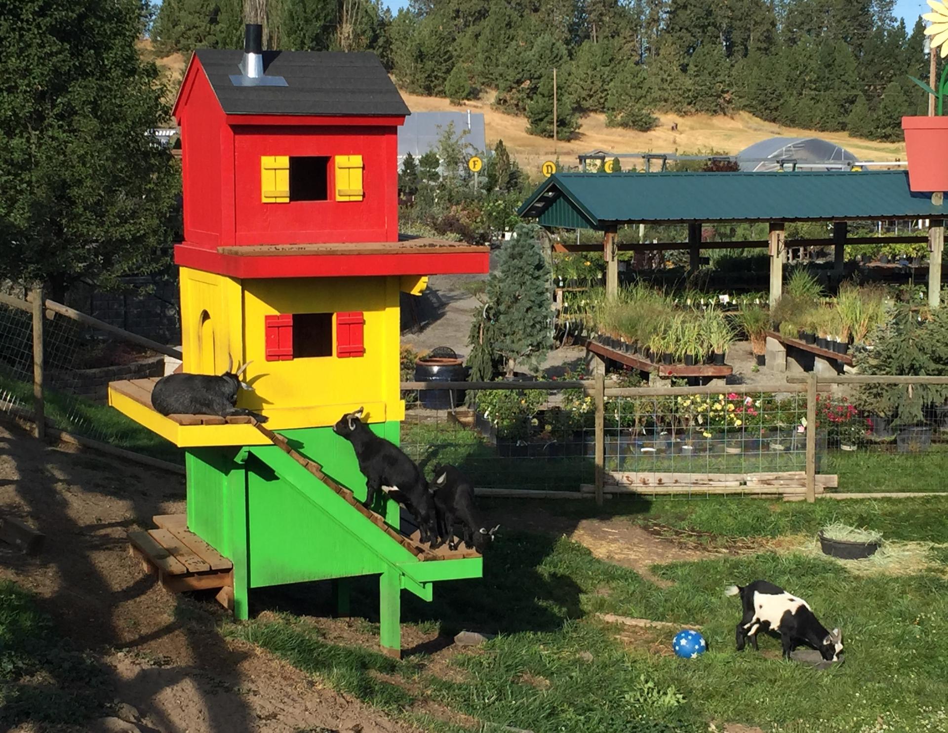 Smart Gardens Nursery Yard