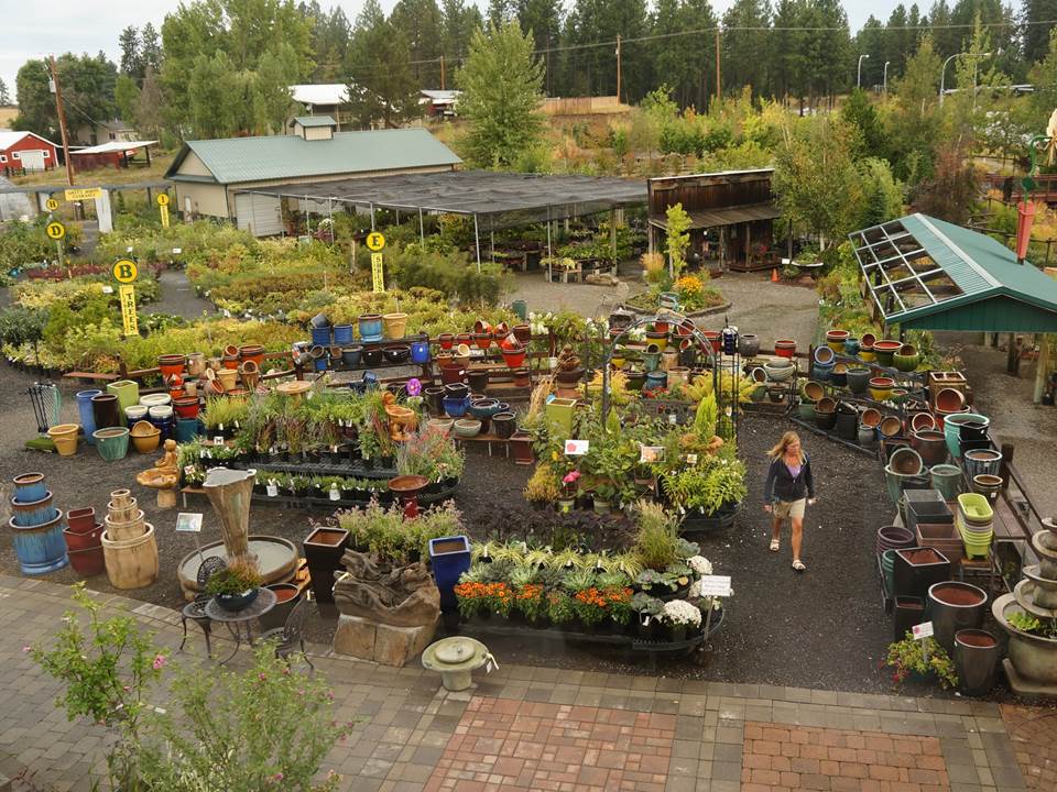 Garden Ideas at Smart Garden Nursery