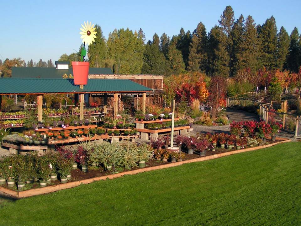 Get Your Garden Essentials at Smart Gardens Nursery