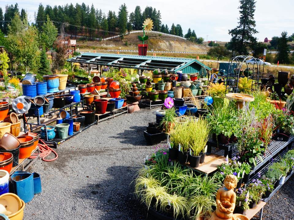 Gardening Pots at Smart Gardens Nursery