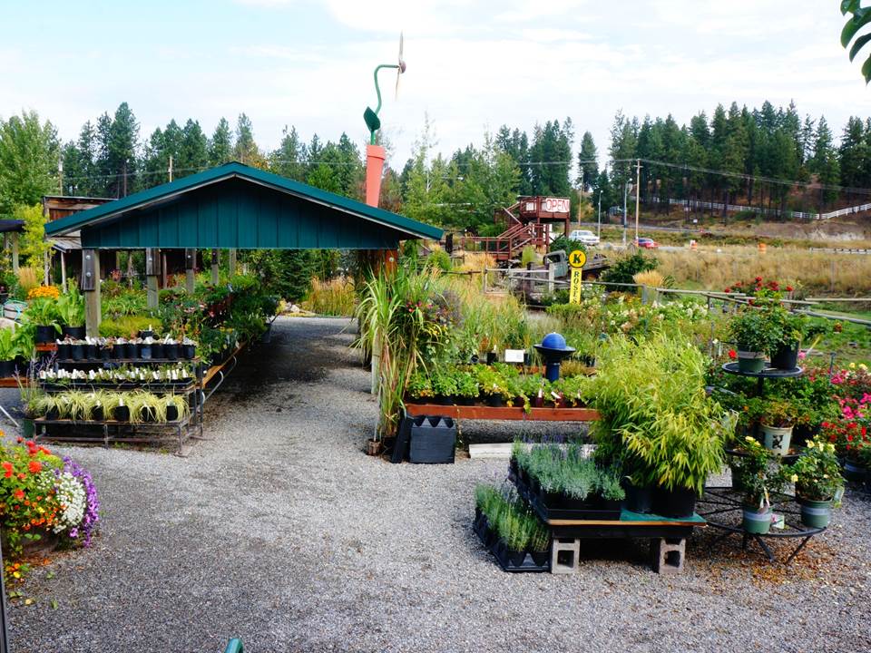The colors of spring at Smart Gardens Nursery