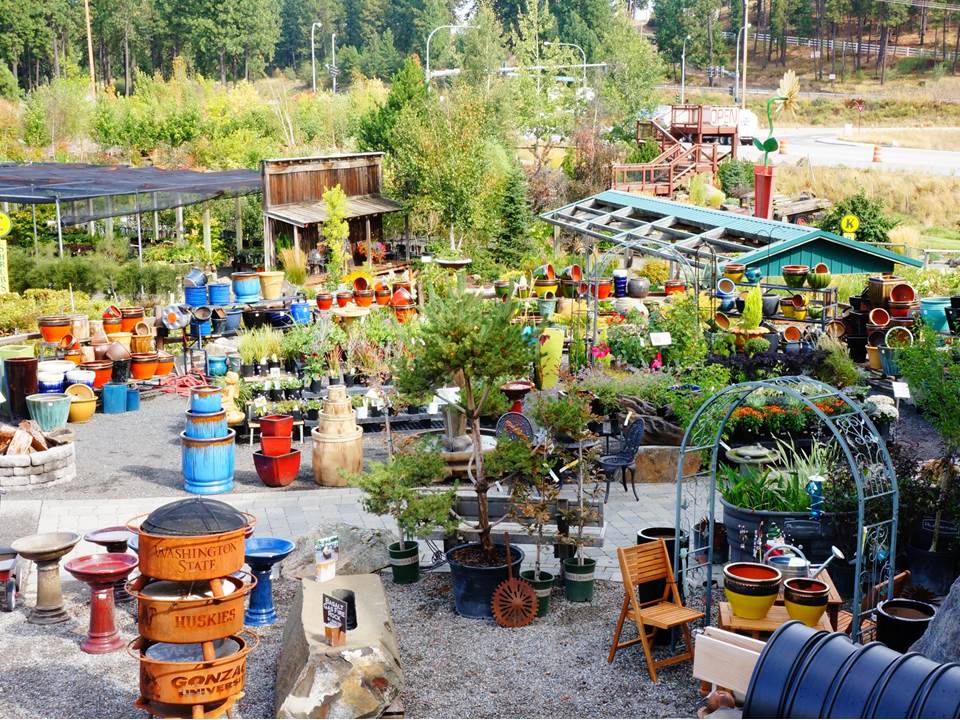 Get all the colorful items for your garden