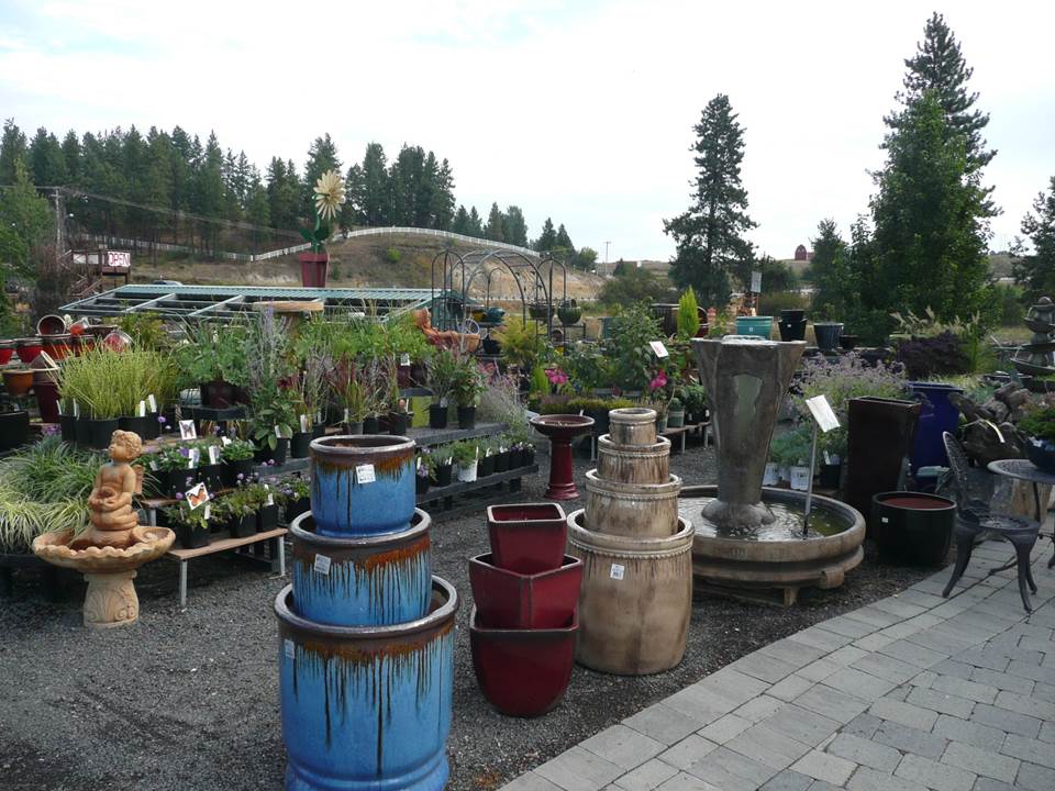 Fountains and Sculptures at Smart Gardens Nursery