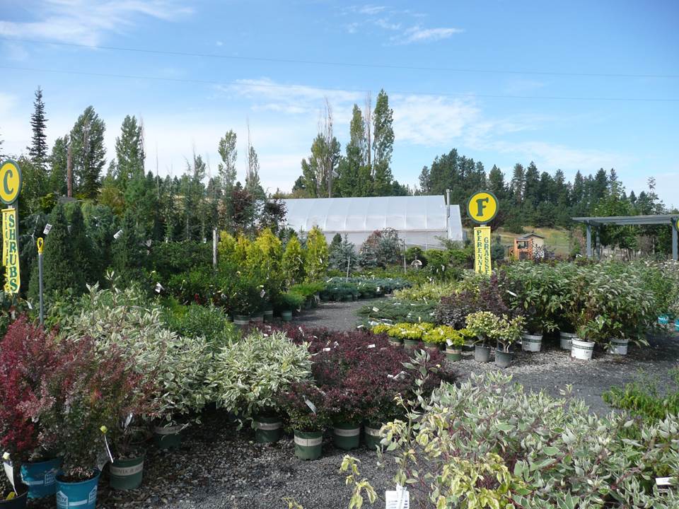 Nursery Gallery | Smart Gardens Nursery | Spokane