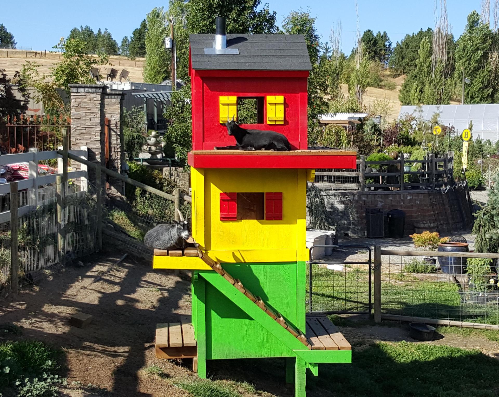 Goat House for Smart Gardens Nursery