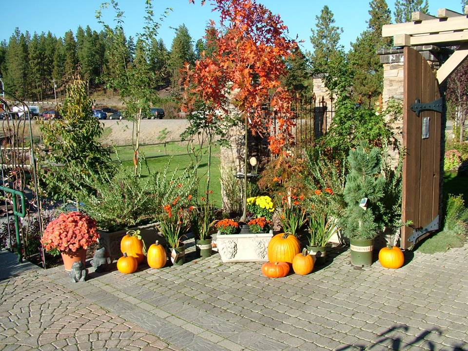Fall Garden Essentials