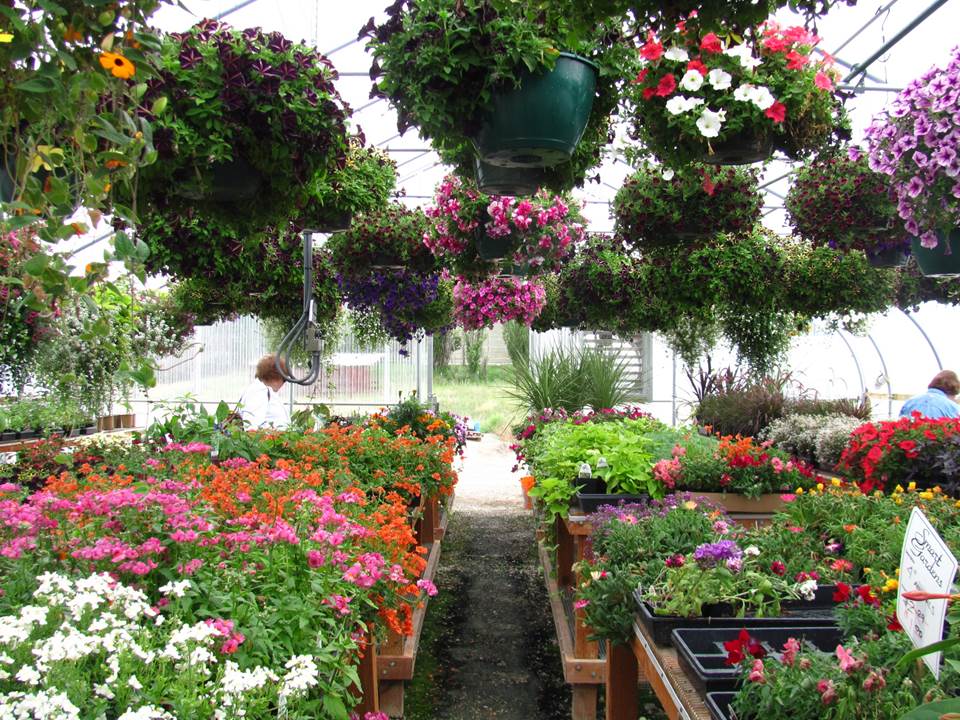 Smart Gardens Nursery | Spokane Washington