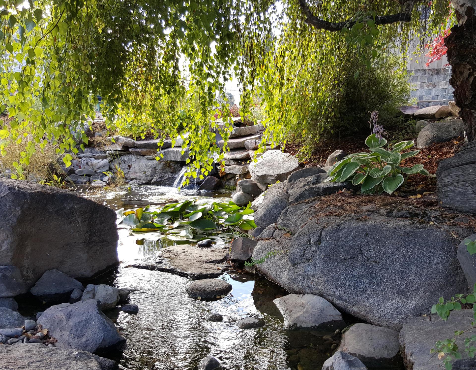 Pond at Smart Gardens Nursery