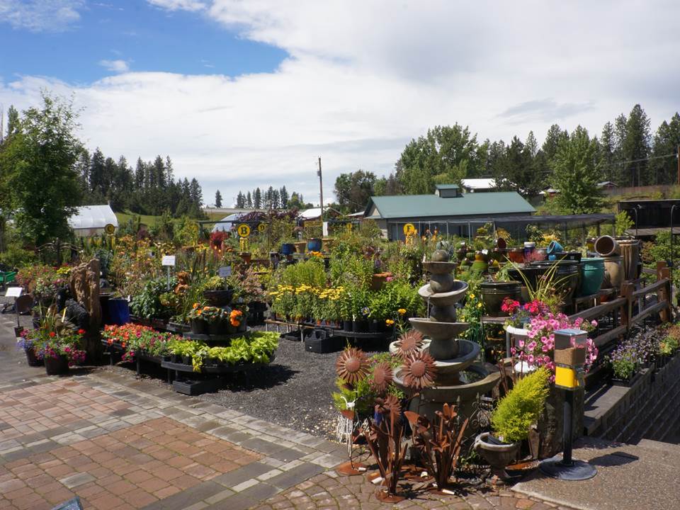 Garden Decor Smart Garden Nursery