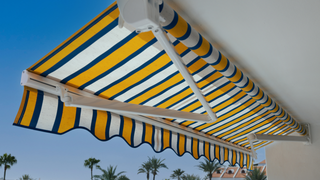 A yellow and blue awning with palm trees in the background