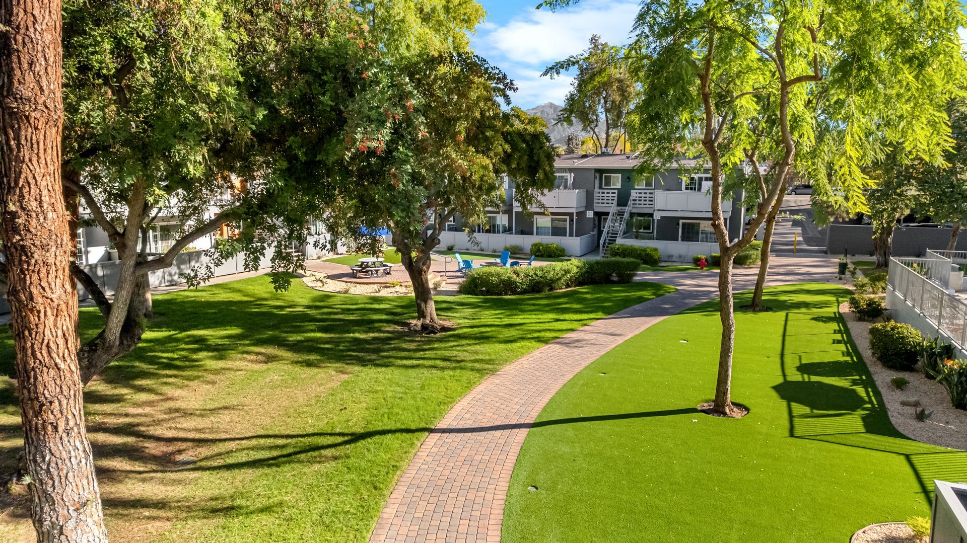 winding paved path through grass and trees