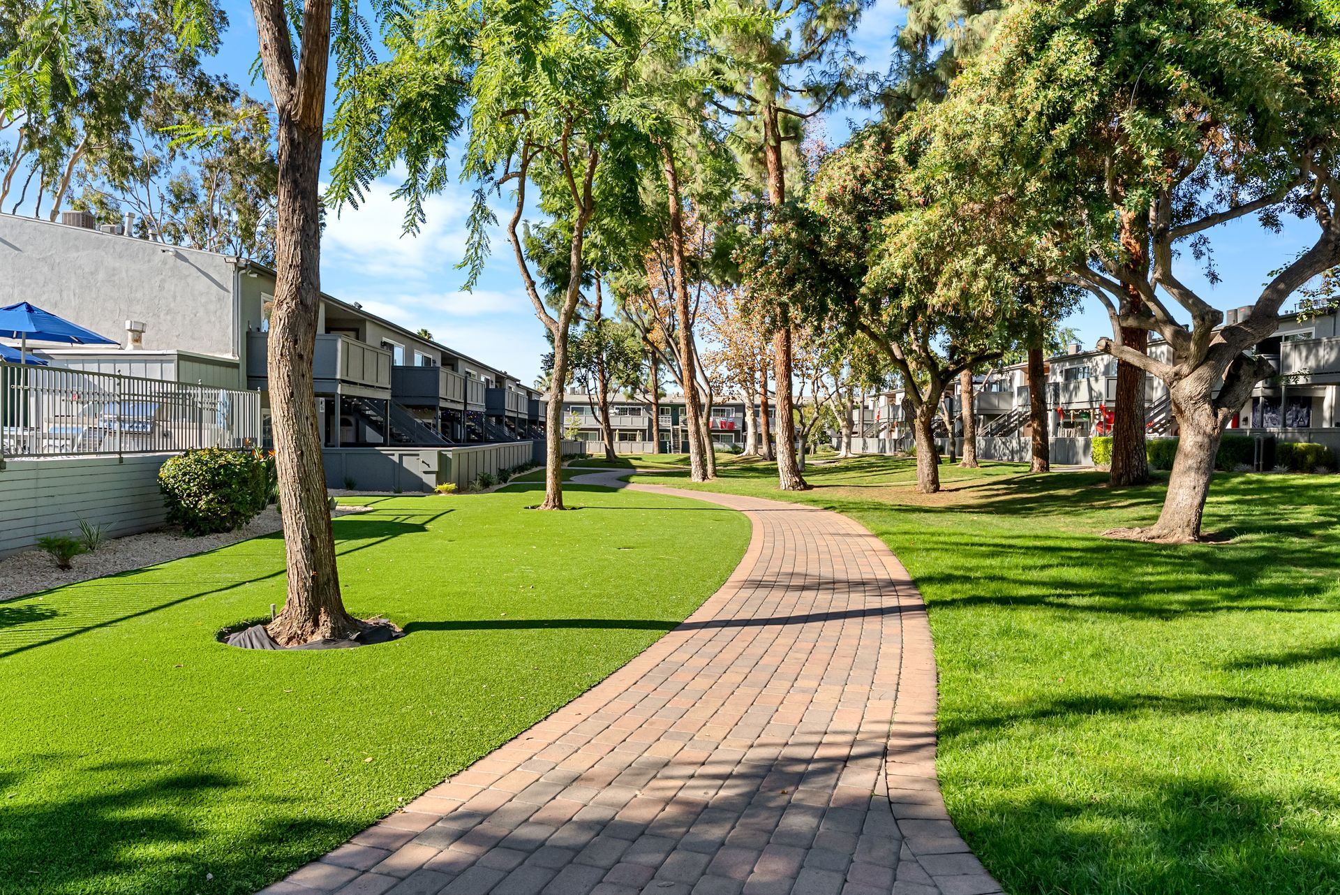 paved path leading through grass and trees