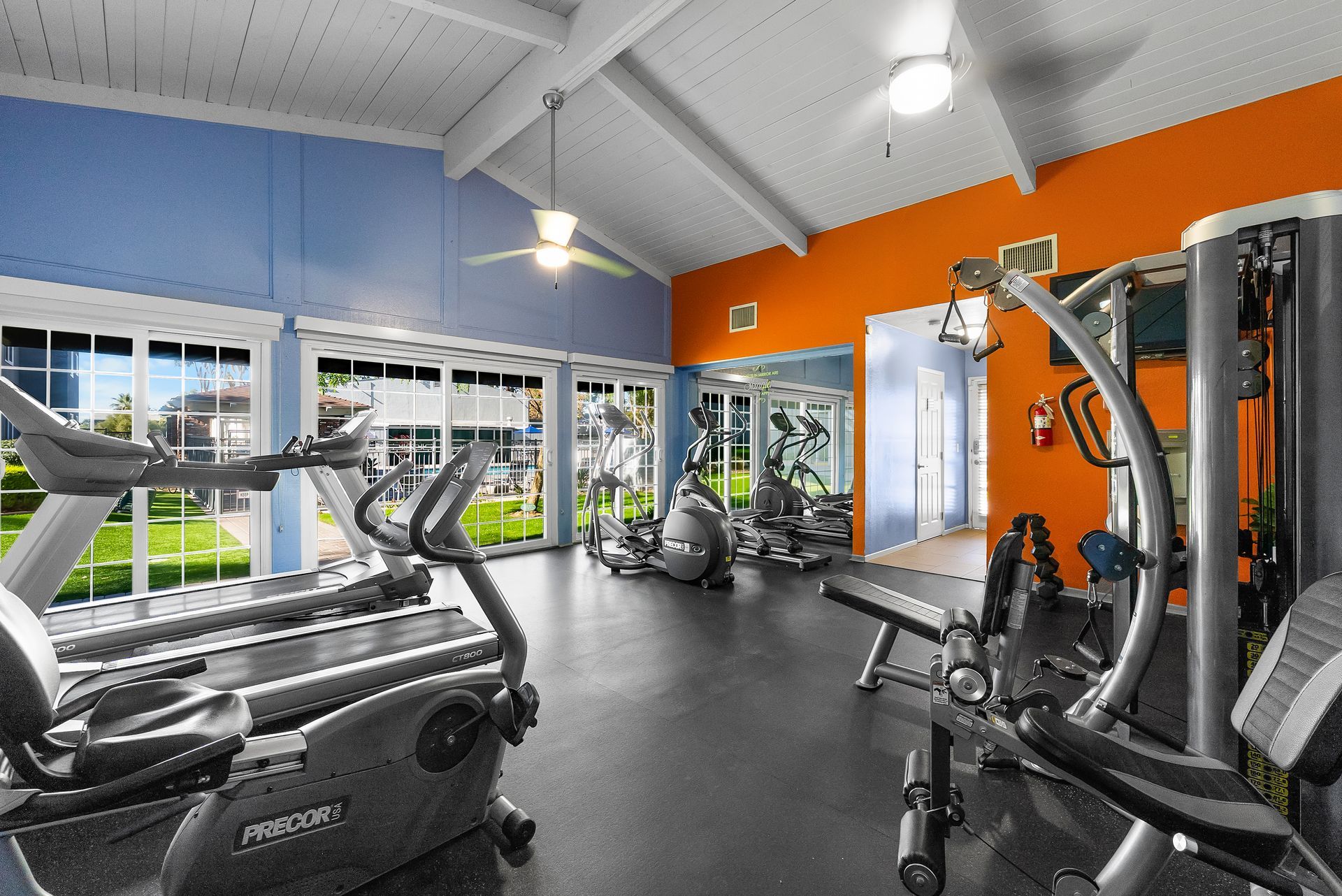 gym cardio equipment and weights