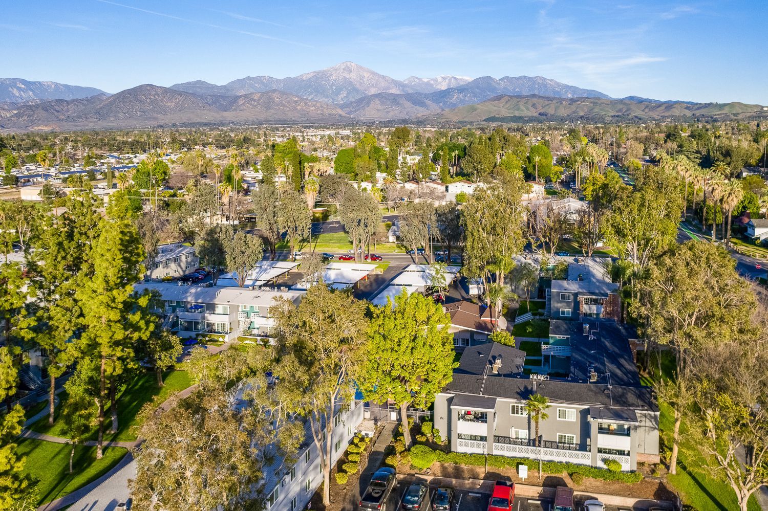 Interior Photo of Countrywood Apartments