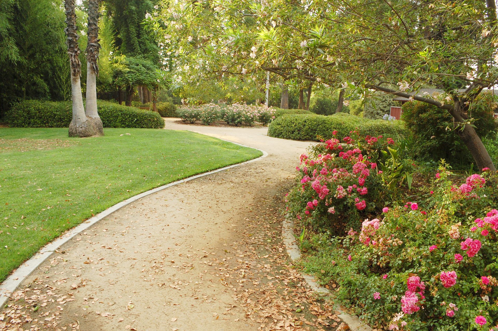 a path in a park with pink flowers on the side