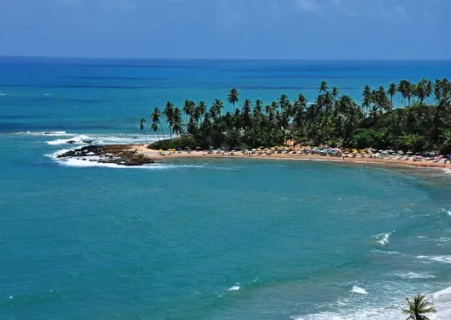Litoral de ilha tropical com água turquesa e palmeiras sob um céu azul límpido.