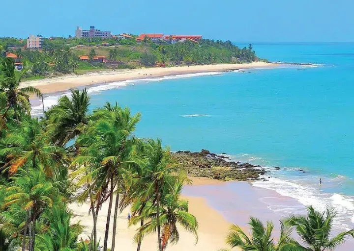 Praia tropical com água turquesa, palmeiras e uma faixa de areia sob um céu claro.