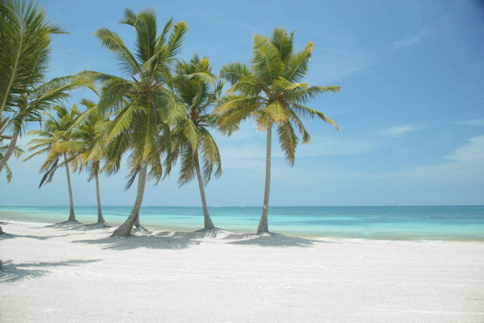 Ancora Punta Cana Beach — Orlando, FL — Pro Vacation Group