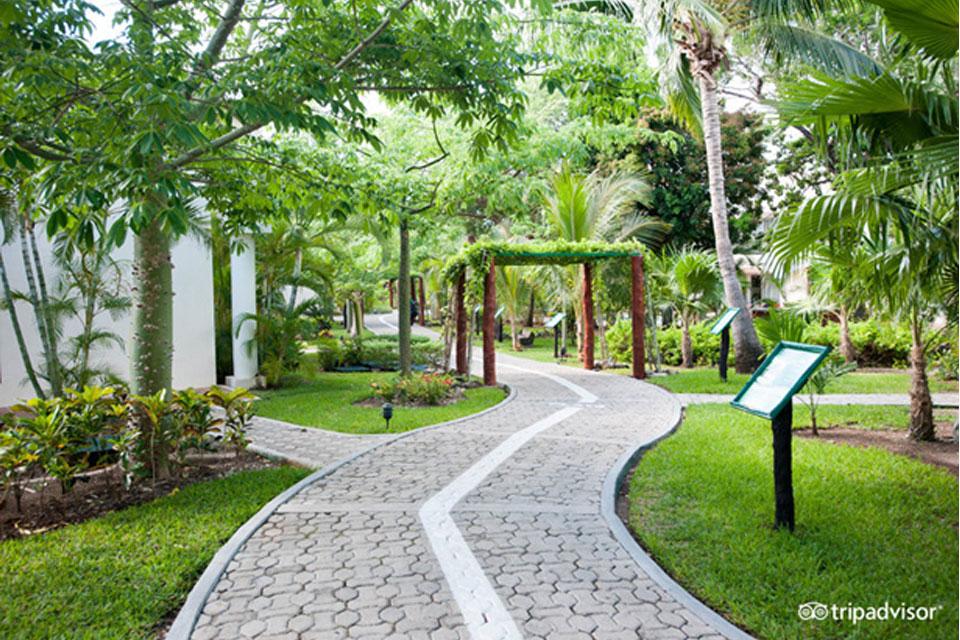 Sandos Playacar Pool Entrance — Orlando, FL — Pro Vacation Group