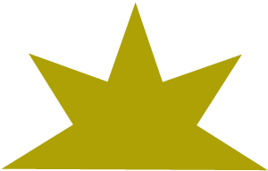 Star Burst Icon