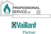 Logo Professional Service